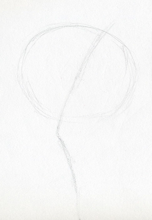 485x700 Hibiscus Flowers Drawing Tutorial - Hibiscus Pencil Sketch