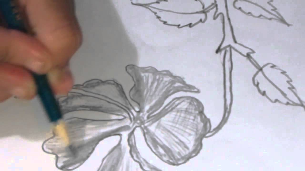1280x720 How To Draw And Sketch A Hibiscus Type Flower Using Pencil - Hibiscus Pencil Sketch