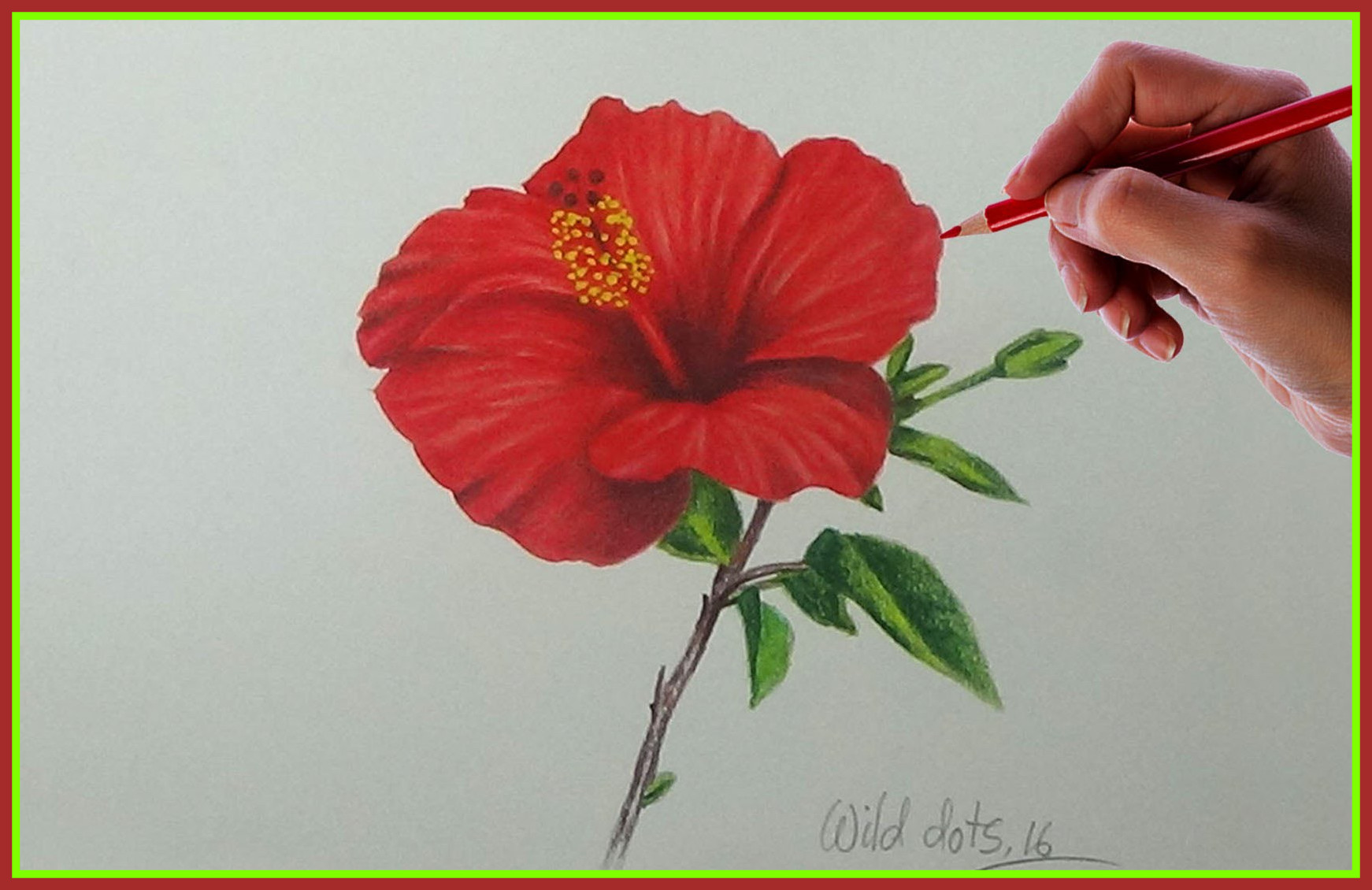 1742x1130 Stunning Hibiscus Flower Pencil Drawing At Getdrawings For Pict Of - Hibiscus Pencil Sketch