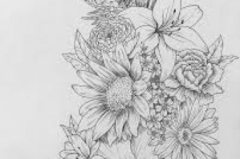 343x228 Hibiscus Flower Tattoo Sketches - Hibiscus Tattoo Sketch