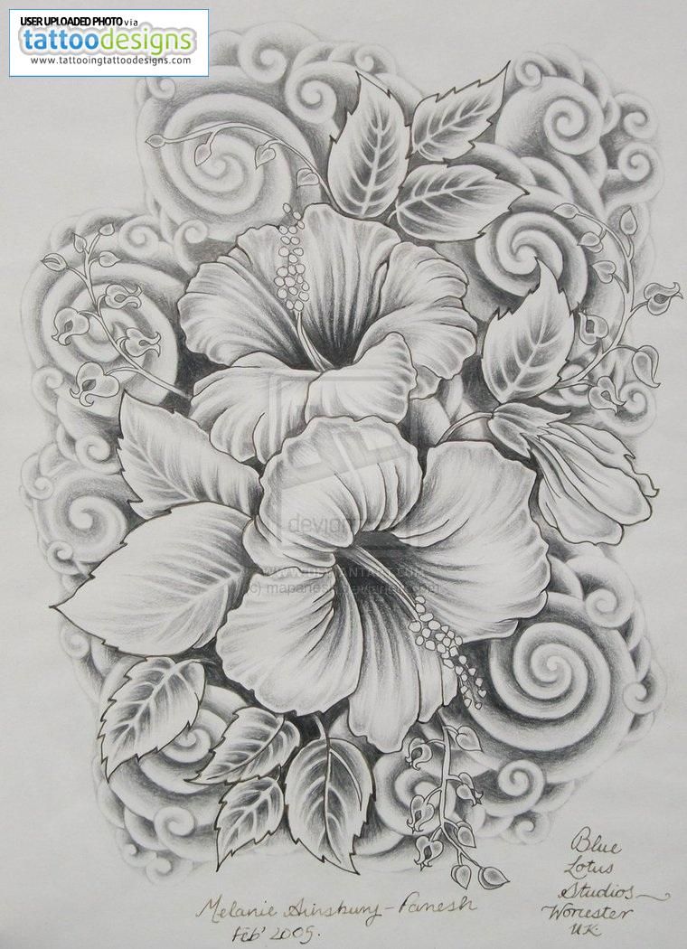 760x1050 Hibiscus Tattoos Designs For Women Image Tattooing Tattoo - Hibiscus Tattoo Sketch