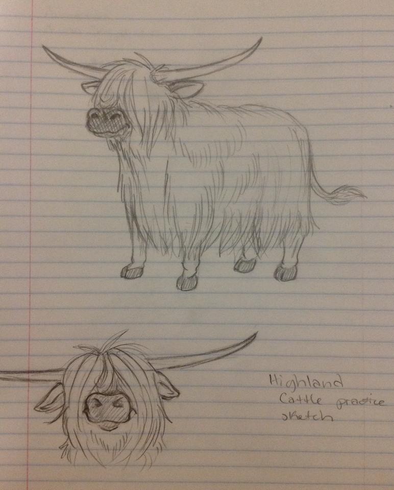 772x960 Highland Cow Sketch By Chrissyissypoo19 - Highland Cow Sketch