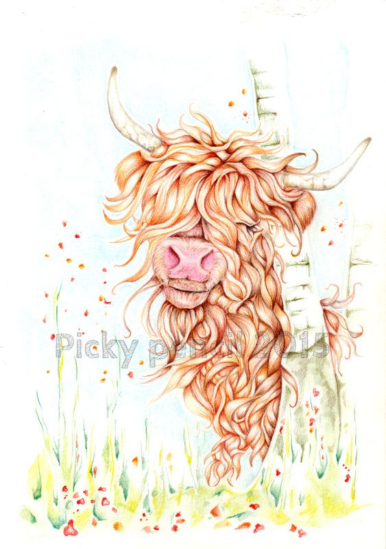 563x800 Highland Cow Illustration Pencil Drawing By Lyn Elrick Cool Pics - Highland Cow Sketch