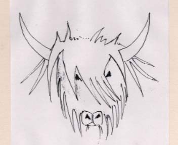 352x287 Grays School Of Art - Highland Cow Sketch