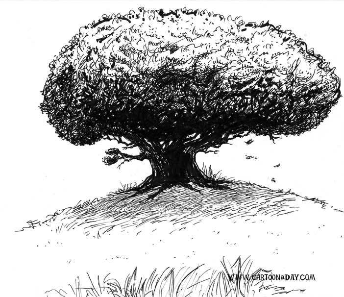 702x606 Tree On A Hill Cartoon - Hill Sketch