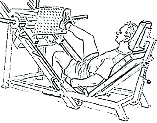 510x401 A Sketch Representation Of The Unilateral Exercise Type Targeting - Hip Sketch