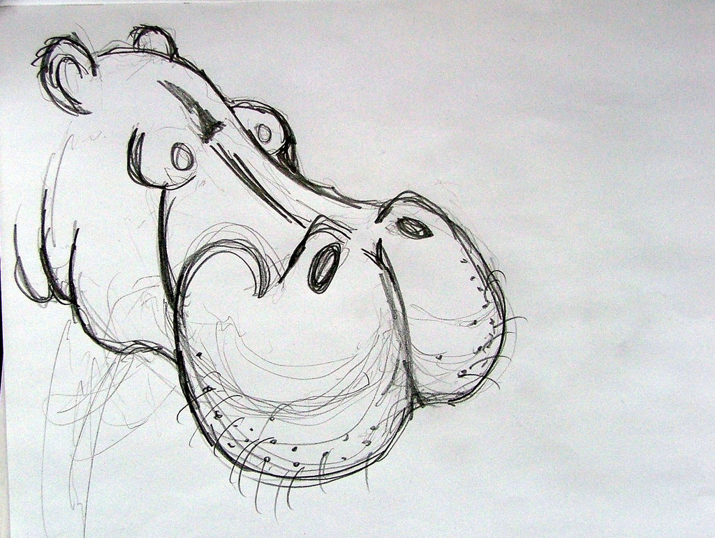 1024x771 Hippo (Sketch) The Orginal Sketch Used In The Digital - Hippo Sketch