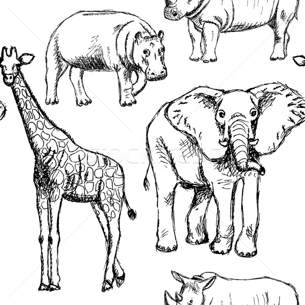 600x600 Sketch Elephant, Rhino, Giraffe And Hippo, Vector Seamless Patte - Hippo Sketch