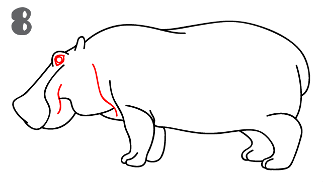 642x363 How To Draw A Hippo (Hippopotamus) - Hippopotamus Sketch