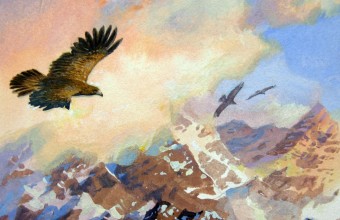 340x220 Sketches Amp Studies (The Hobbit) Ted Nasmith - Hobbit Sketches