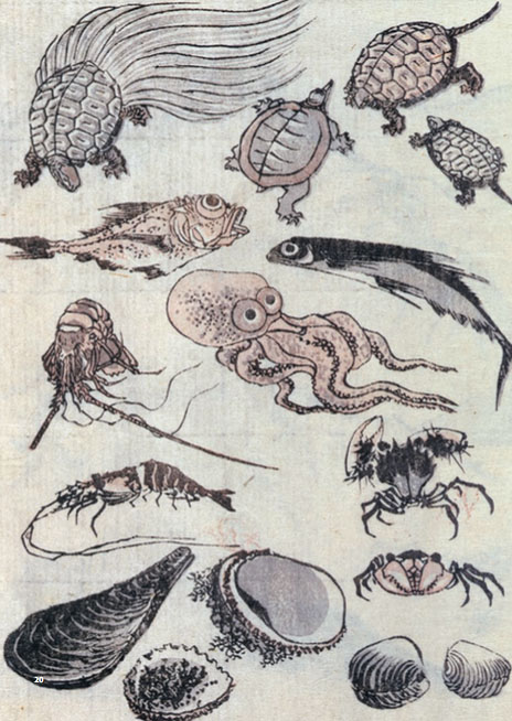 464x654 Hokusai As Taito Quarto Knows Blog - Hokusai Sketches