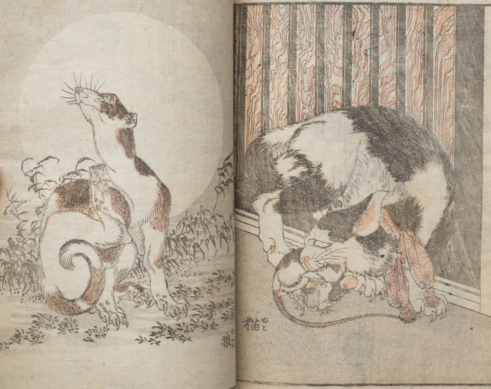 700x554 Part 14 Of A Series Of 15 Sketchbooks (Manga) By Katsushika - Hokusai Sketches