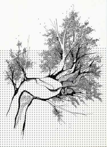 375x515 Visions Of A Psychopomp, Hand Drawing By Joseph Fairweather Hole - Hole Sketch