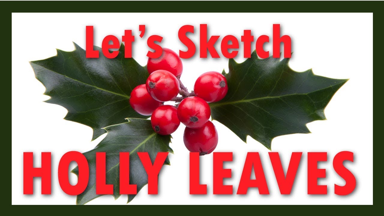 1280x720 Holly Leaf Sketch Demo Jazz - Holly Leaf Sketch