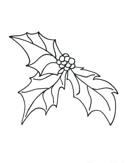 425x550 Holly Leaves Coloring Pages Leaf Printable - Holly Leaf Sketch