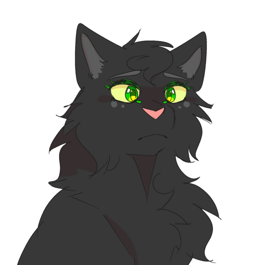 894x894 Hollyleaf Sketch By Demondoges - Holly Leaf Sketch