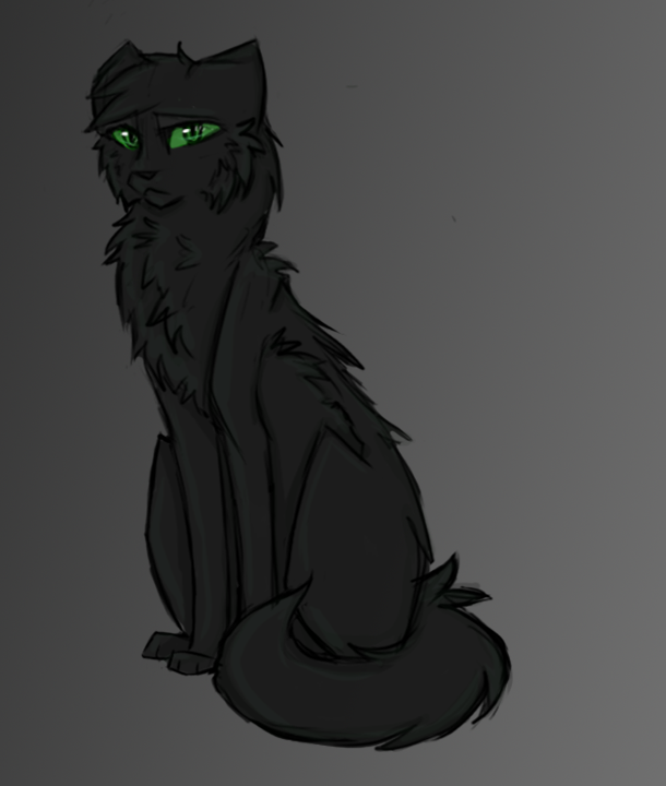 610x720 Hollyleaf Sketch By Nikobyte - Holly Leaf Sketch