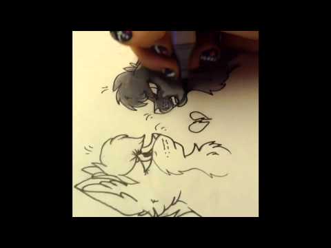 480x360 Leafpool And Hollyleaf Speed Drawing - Holly Leaf Sketch