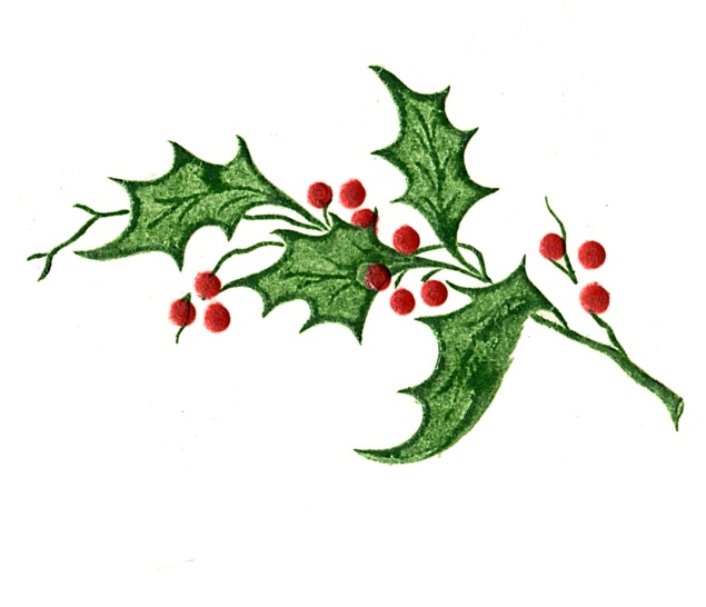 635x546 Holly Leaf Images - Holly Leaf Sketch