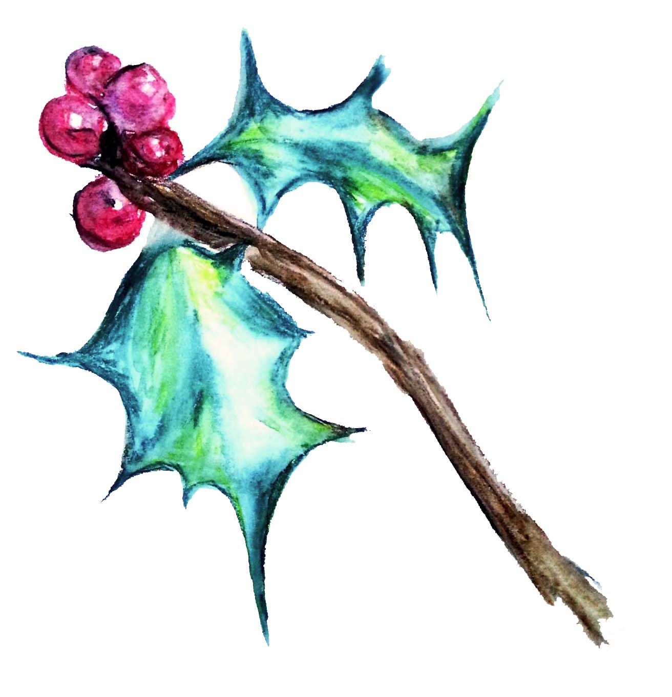 1312x1361 Holly Leaves Watercolour Sketch Dainty Dora - Holly Sketch