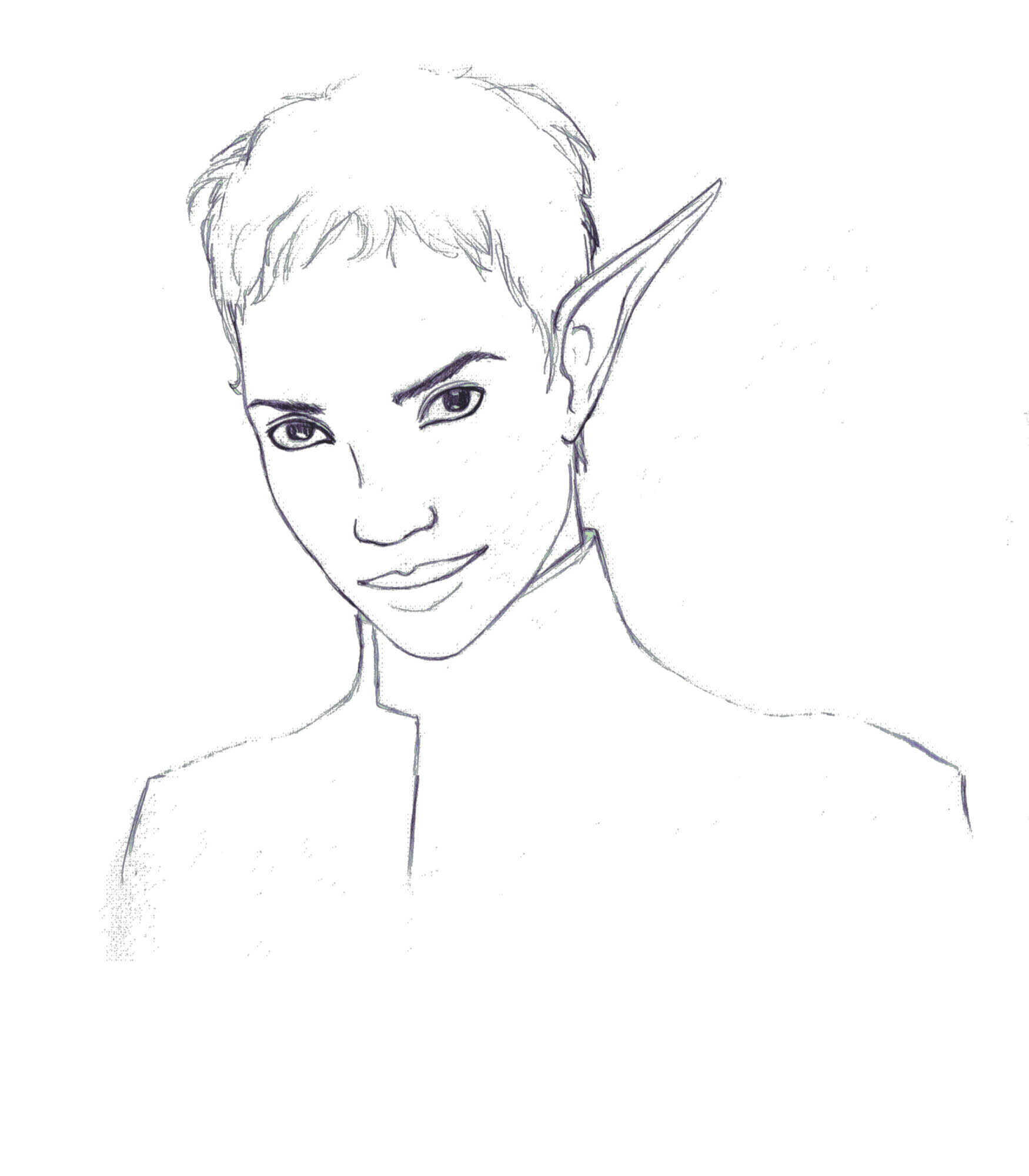 1750x2000 Holly Sketch - Holly Sketch