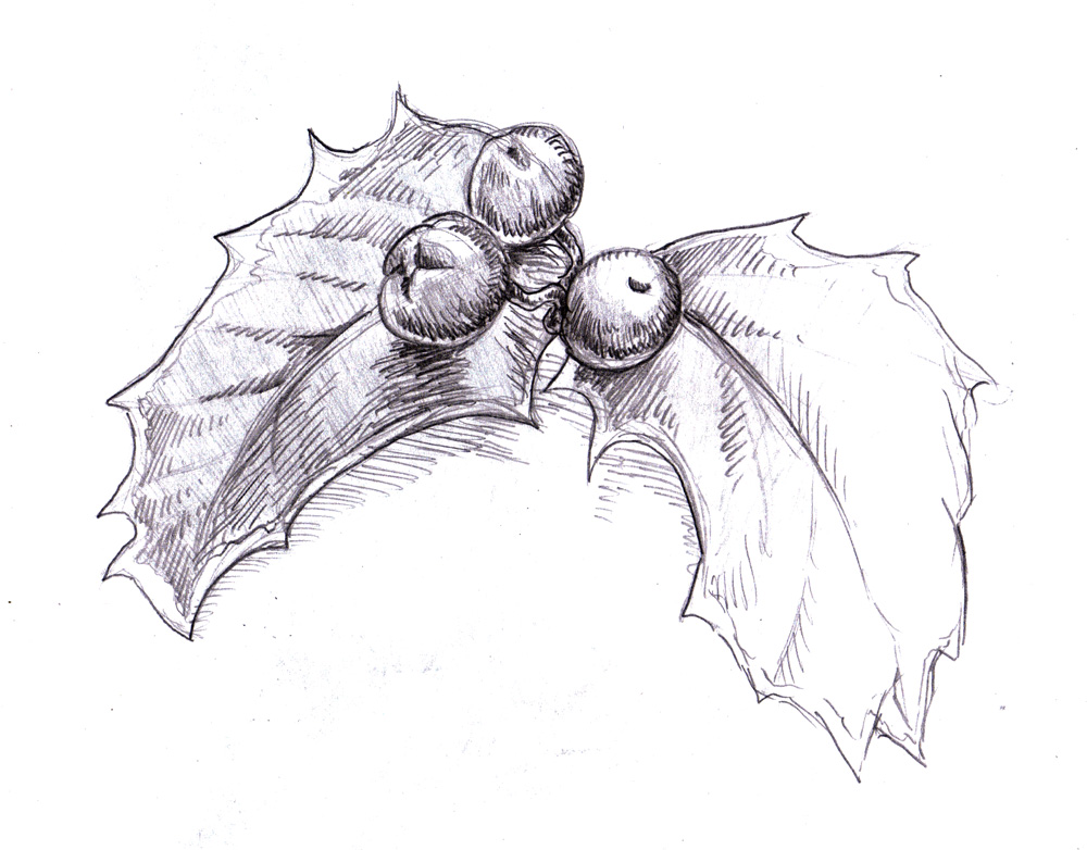 1000x782 Magellin . Blog Holly Sketch - Holly Sketch