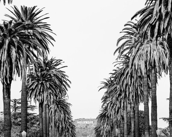 570x456 Hollywood Sign Photograph Black And White Los Angeles Print Etsy - Hollywood Sign Sketch