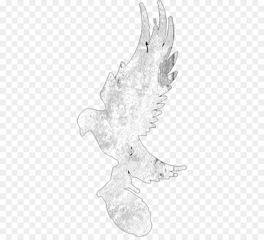 900x820 Chicken Bird Anatidae Cygnini Sketch - Hollywood Sketch