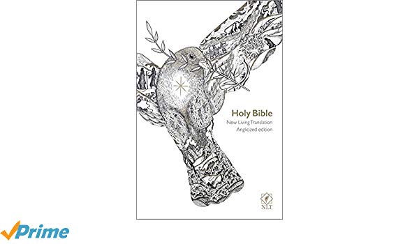 600x350 Nlt Holy Bible New Living Translation Popular Flexibound Dove - Holy Bible Sketch