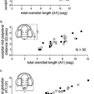 320x320 Geological Sketch Map Of The Holy Cross Mountains Showing The - Holy Cross Sketch