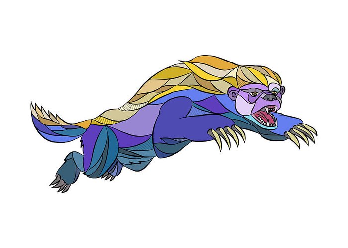 700x500 Honey Badger Jumping Drawing Greeting Card For Sale By Aloysius - Honey Badger Sketch