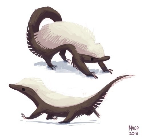 500x482 Honey Badger Warm Up By Sketchinthoughts - Honey Badger Sketch