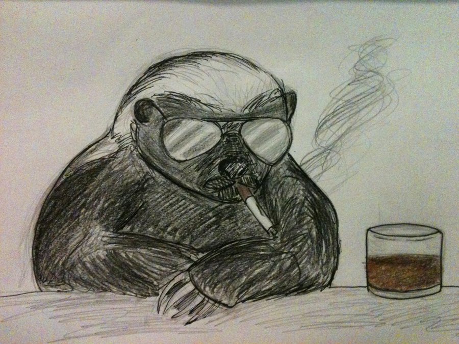 900x675 Image - Honey Badger Sketch