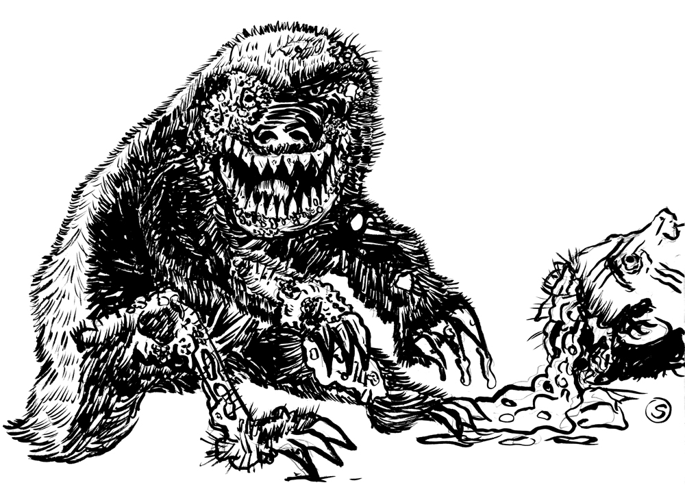 1000x708 Zombie Badger Daily Tony Sedani - Honey Badger Sketch