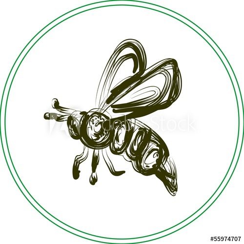 500x500 Honey Bee Sketch Icon Vector - Honey Bee Sketch