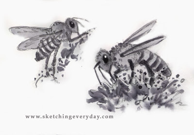 400x278 Drawing Everyday Poor Honey Bees - Honey Bee Sketch