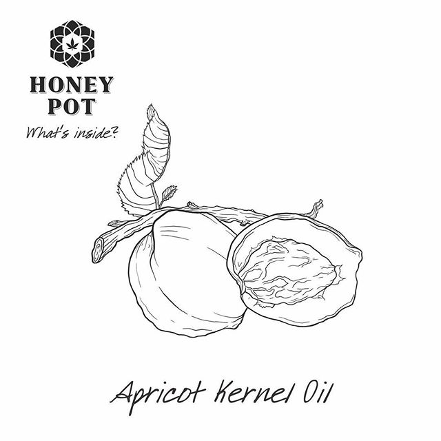 640x640 Honey Pot @honeypotproducts - Honey Pot Sketch