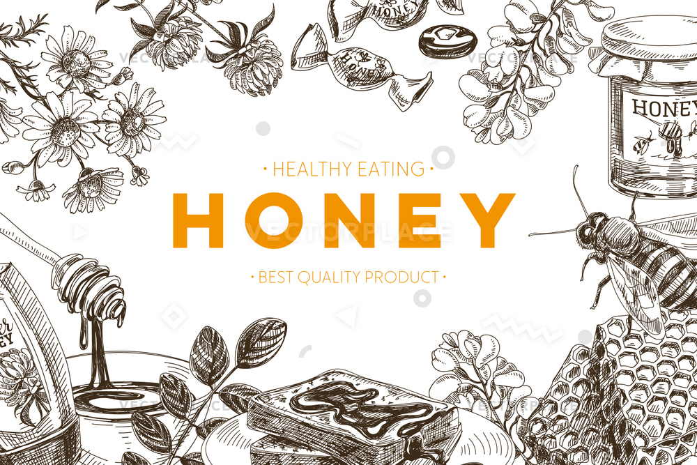 1000x667 Hand Drawn Honey Sketch Vintage Style Vector Illustration 17867 - Honey Sketch