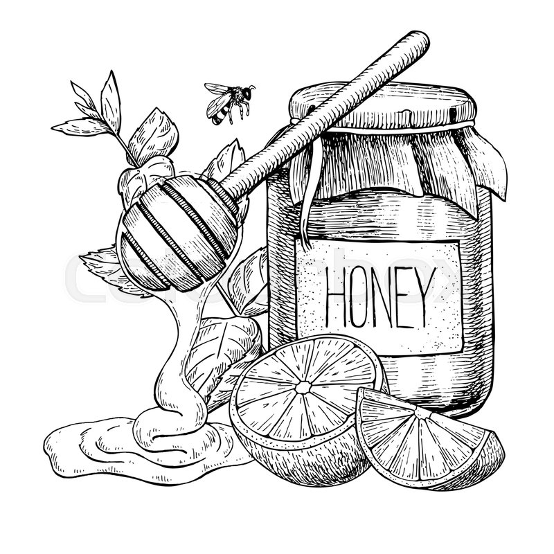 800x800 Honey With Lemon And Mint Vector Drawing. Jar, Wooden Spoon, Honey - Honey Sketch