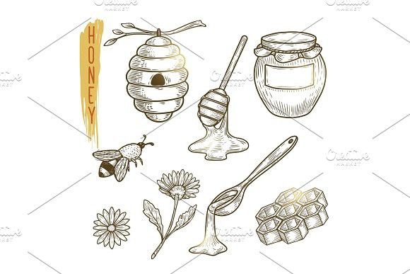 580x387 Set Of Honey Elements. Vector Sketch Of Sweet Organic Product - Honey Sketch