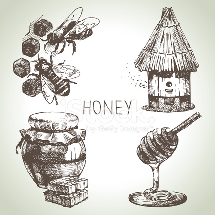 440x440 Sketch Honey Set Stock Vector - Honey Sketch