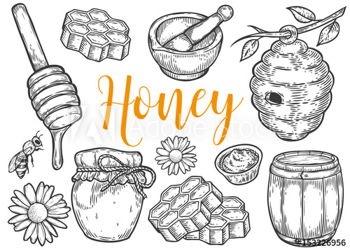 500x357 Honey Jar, Barrel, Spoon, Bee, Honeycomb, Chamomile, Vintage Set - Honeycomb Sketch