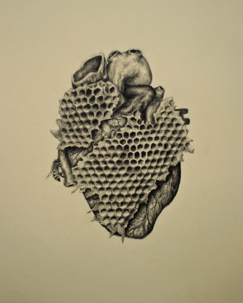 500x623 Drawing Illustration Art Pencil Heart Sweet Anatomy Honey Bee - Honeycomb Sketch