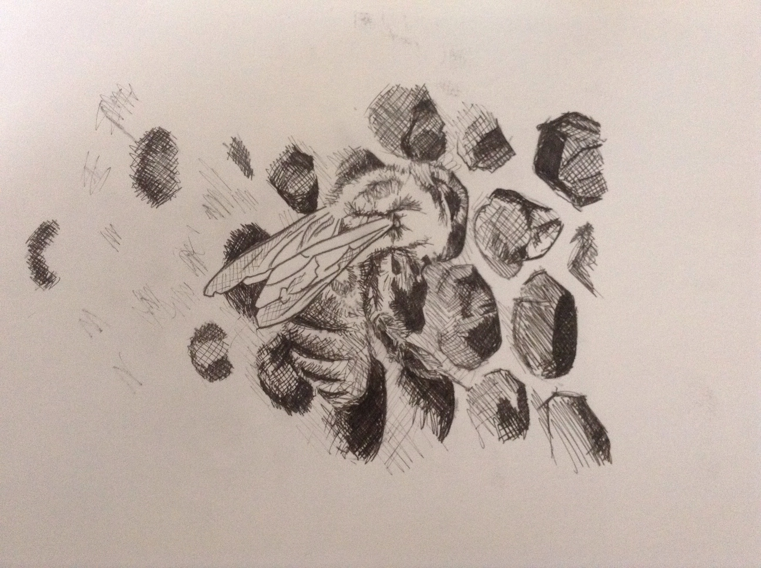 2592x1936 Honeycomb Thelinoprinter - Honeycomb Sketch