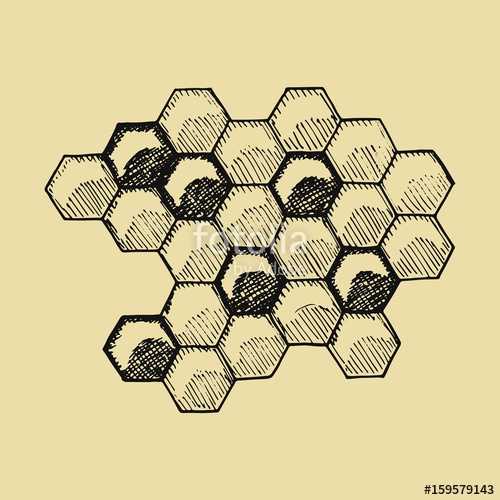 Honeycomb Sketch at PaintingValley.com | Explore collection of