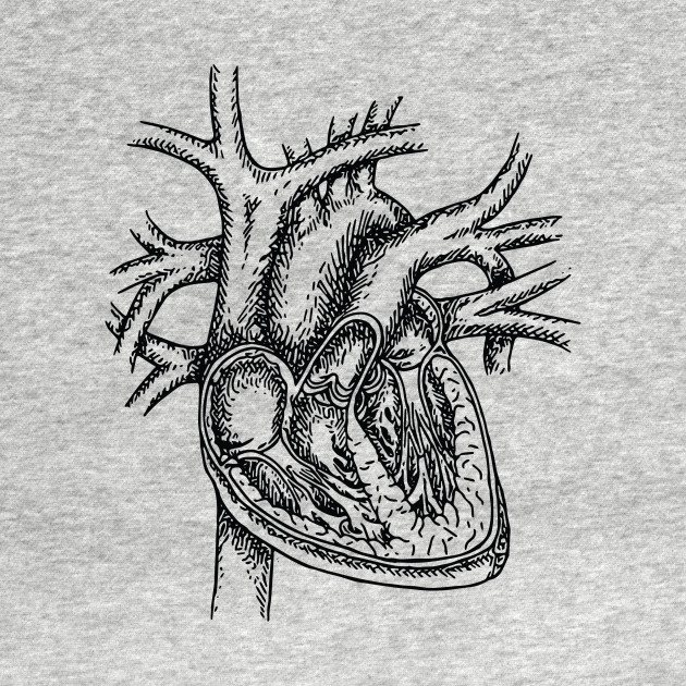 630x630 The Dissected Heart Sketch (Black) - Hoodie Sketch