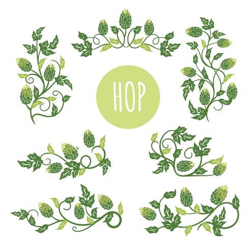 490x490 Green Hop Plant, Sketch Style Vector Illustration Isolated On - Hop Sketch