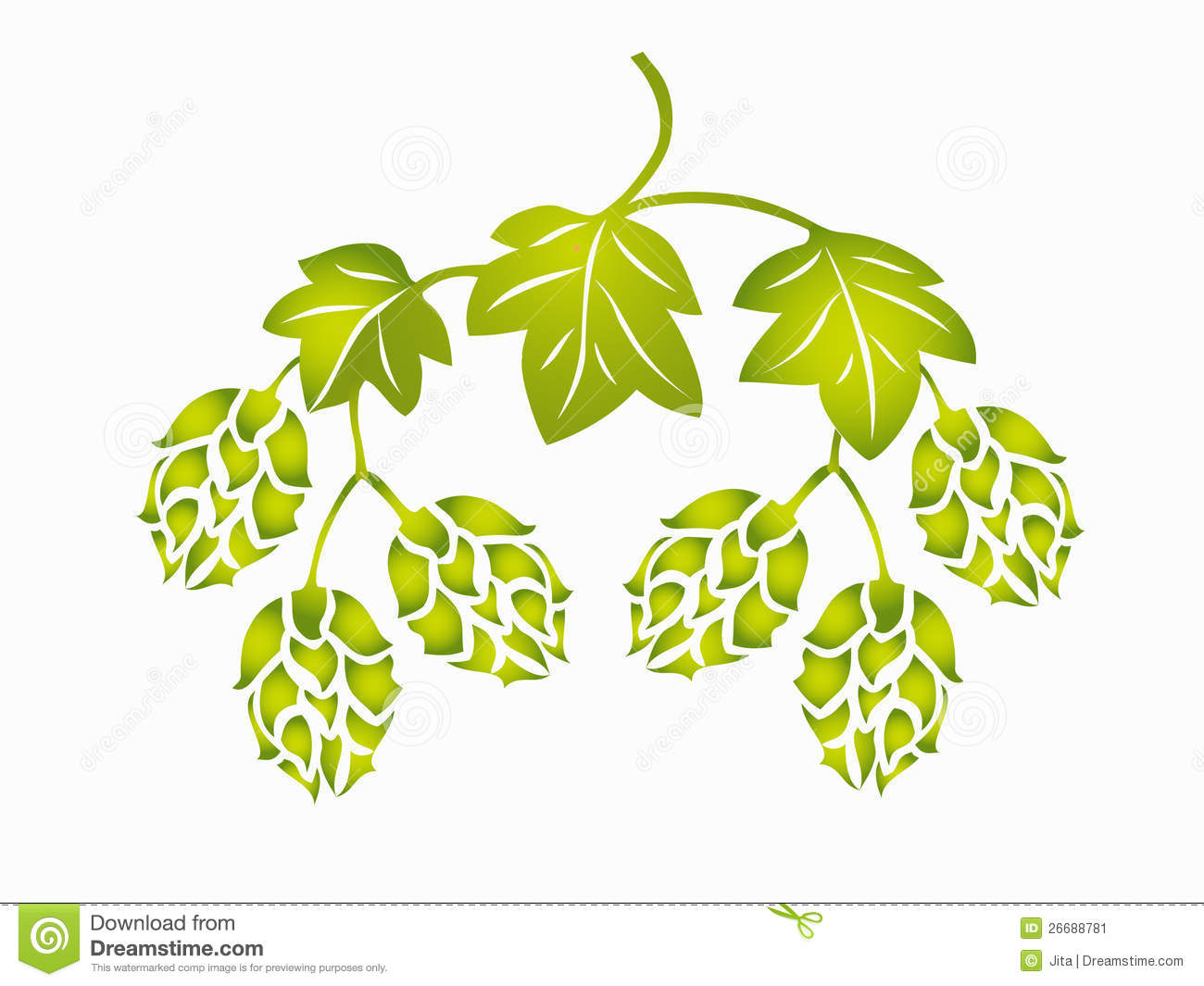 1300x1065 Hops Clipart Sketch ~ Frames ~ Illustrations ~ Hd Images ~ Photo - Hop Sketch