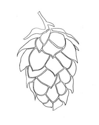 397x500 Beer Hops Stencil - Hop Sketch