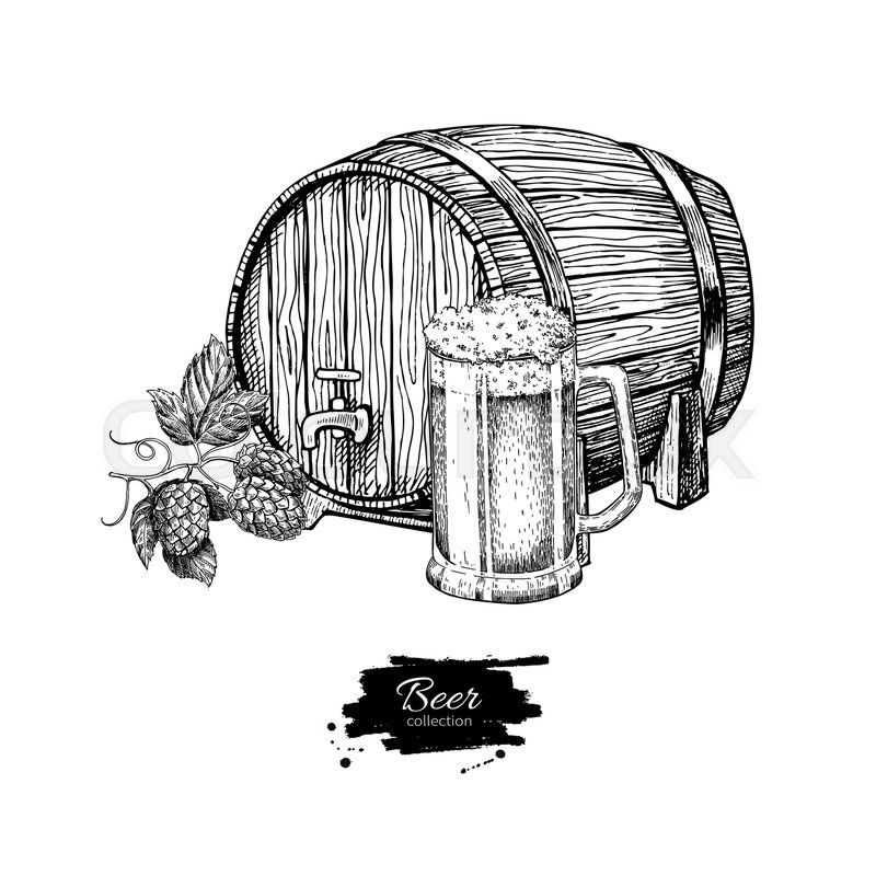 800x800 Beer Barrel With Hop And Glass Mug. Sketch Style Vector - Hop Sketch
